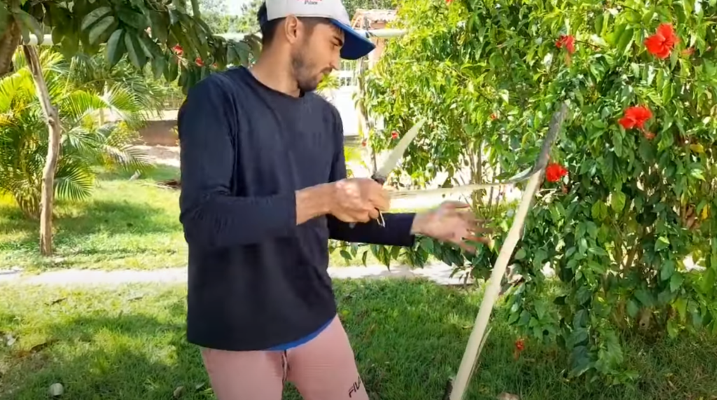 cabo de madeira para esse Rastelo